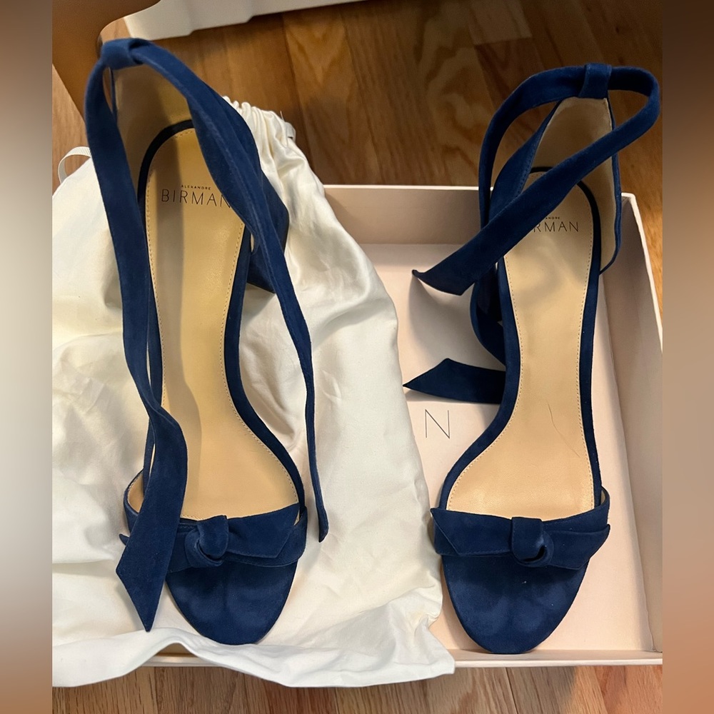 Alexandre Birman suede block heels
